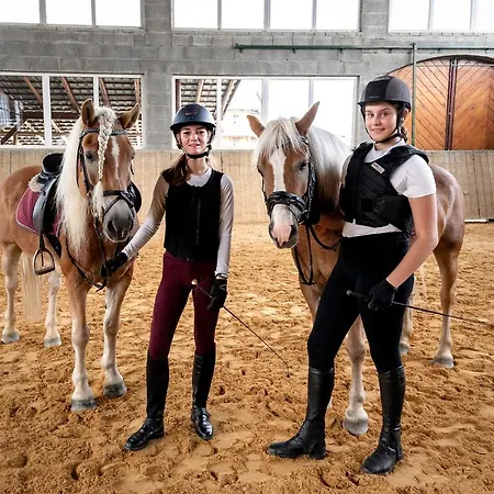 Zajazd Chyzne ホテル 2*