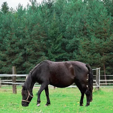 ホテル Zajazd Chyzne 2*