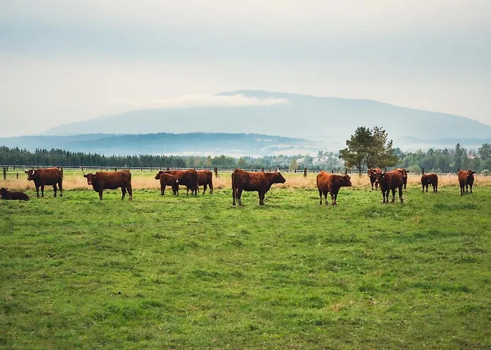 Hotel Zajazd Chyżne