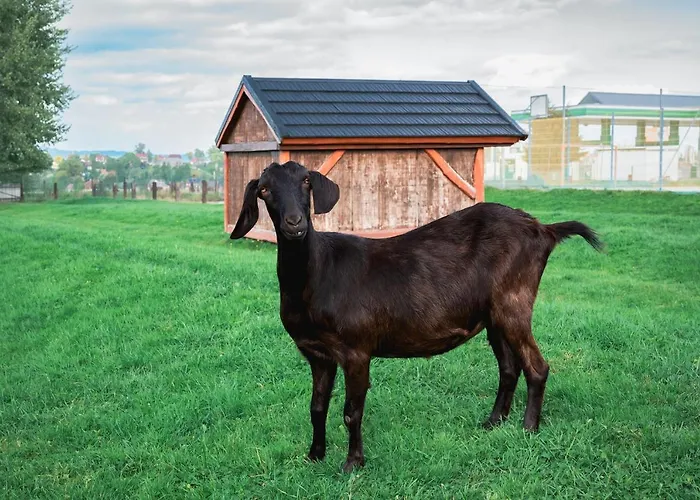 Zajazd Chyżne Hotel