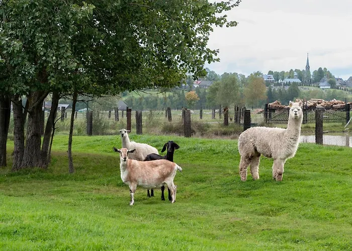 Zajazd Chyżne Hotel