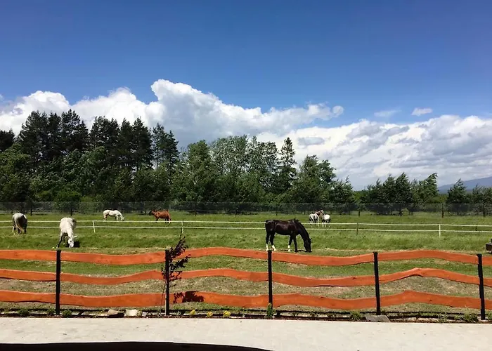 Zajazd Chyżne Chyzne